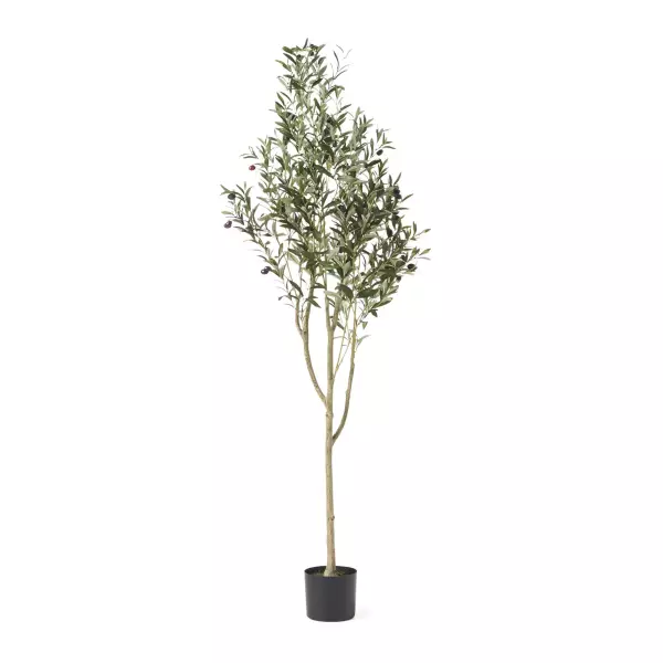 70528.00 Taos 6' x 2' Artificial Olive Tree, Green