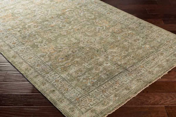 Reign Reg 2303 Sage Rug 4