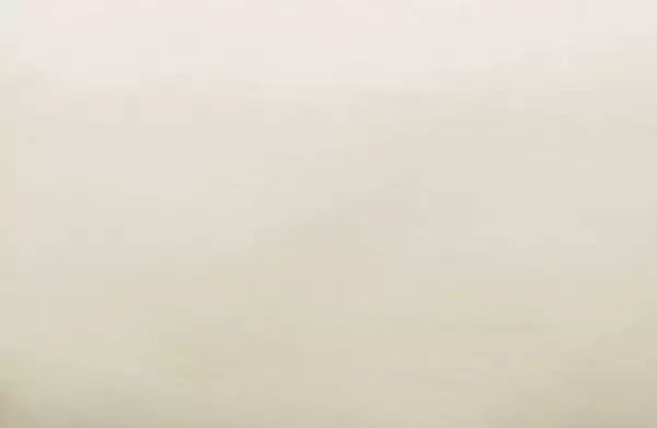 Tov S68199 Avery Cream Velvet Chair 5