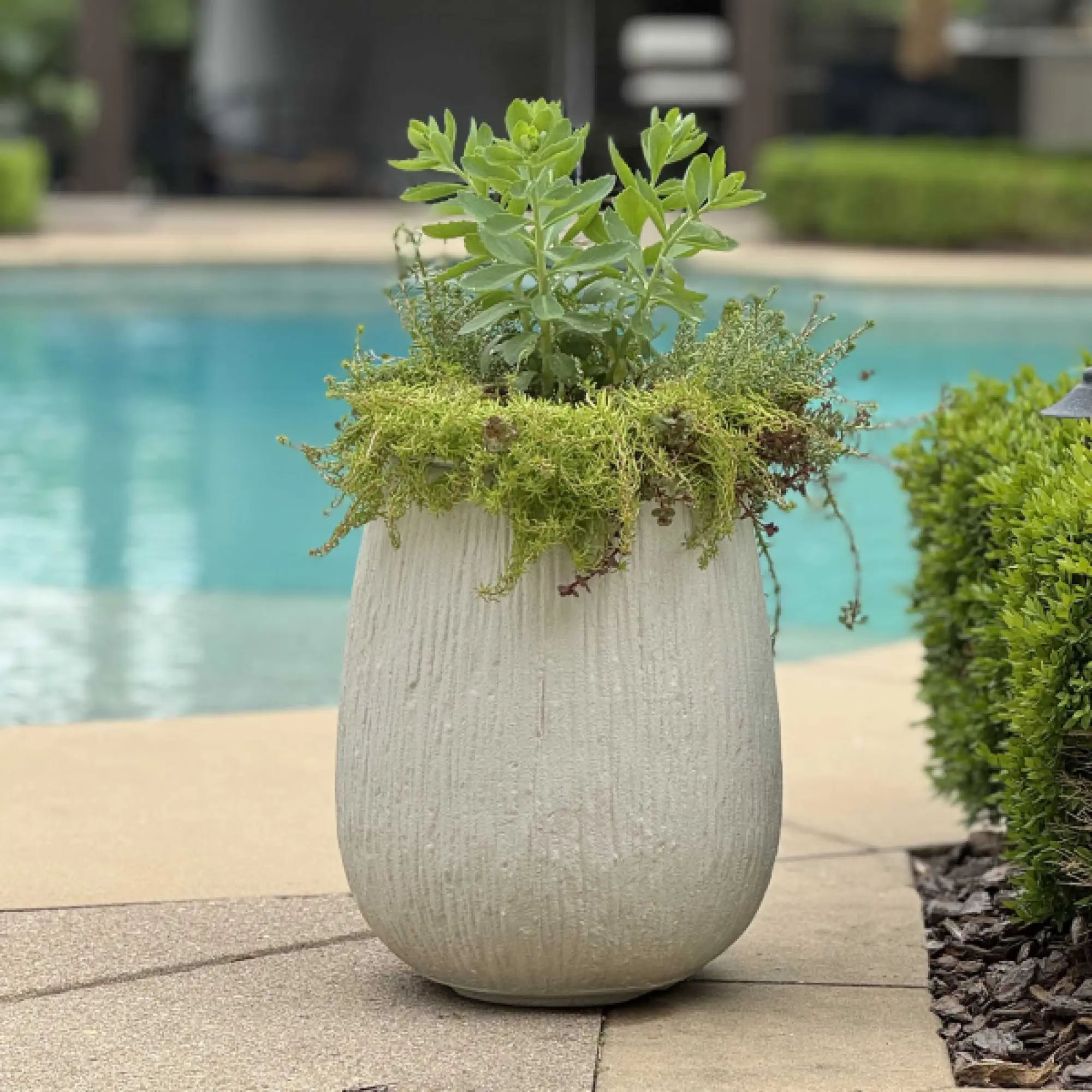 18250 Uttermost Rustic Ridge Off-White Outdoor Planter