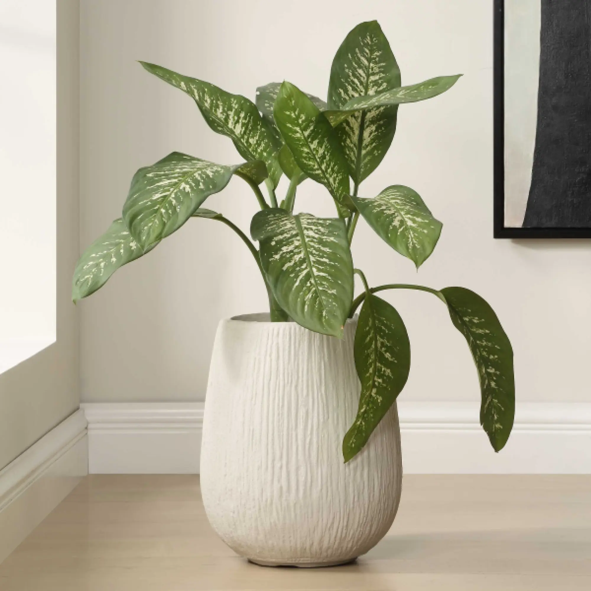 18250 Uttermost Rustic Ridge Off White Outdoor Planter 5
