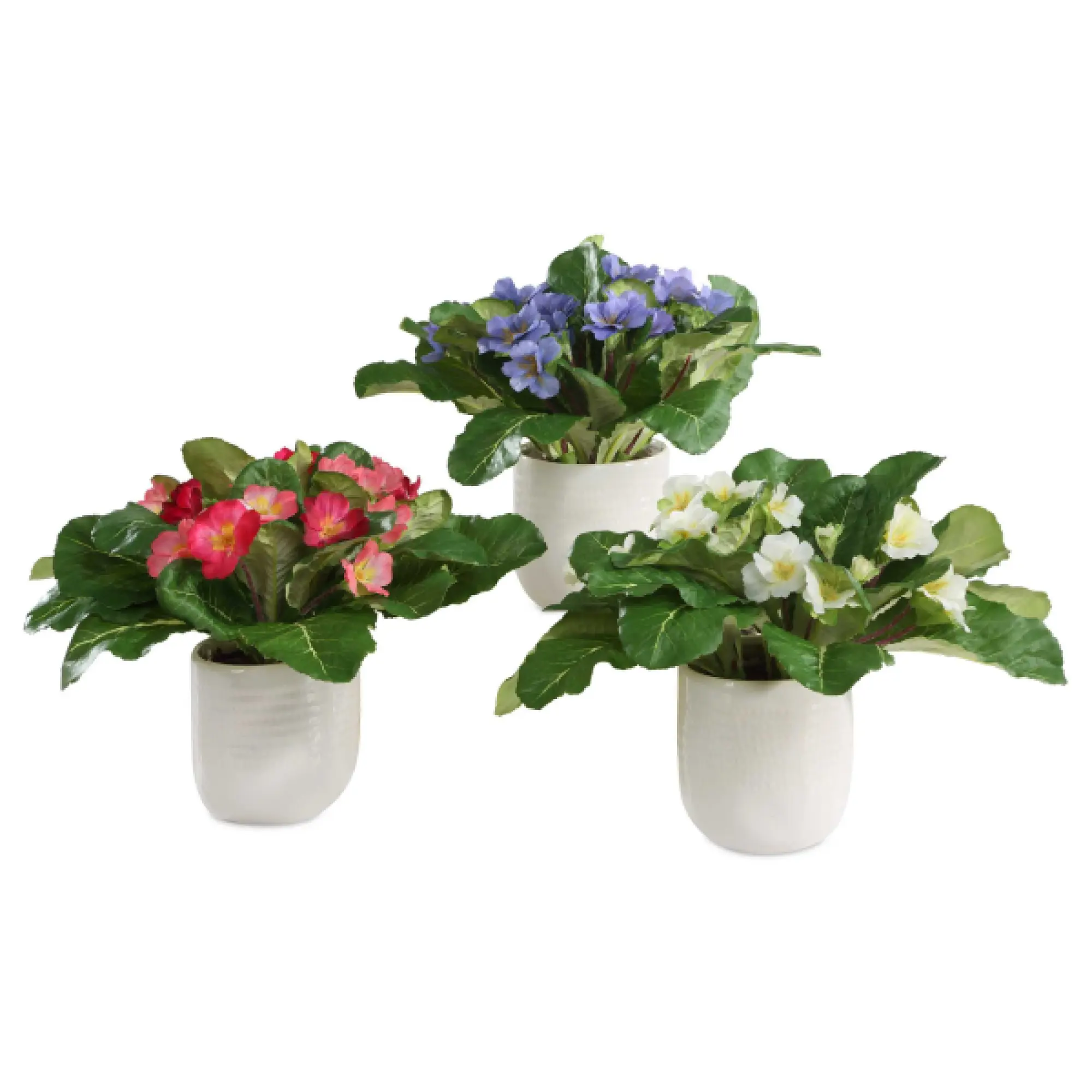 Uttermost 60247