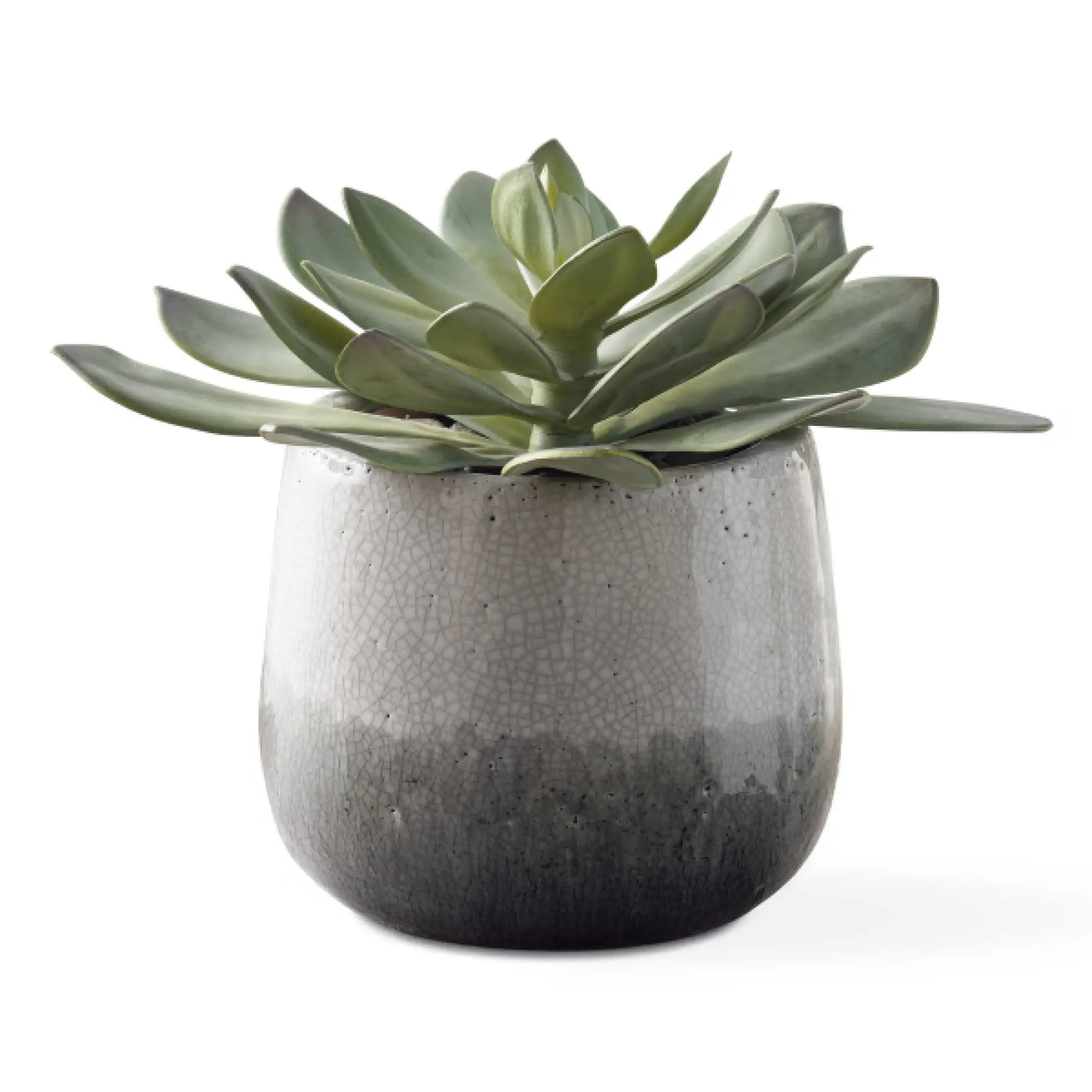 Uttermost 60261