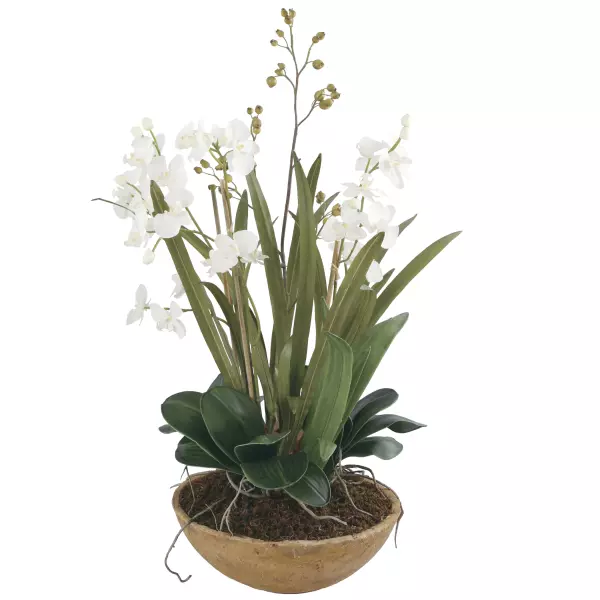 60039 Uttermost Moth Orchid Planter